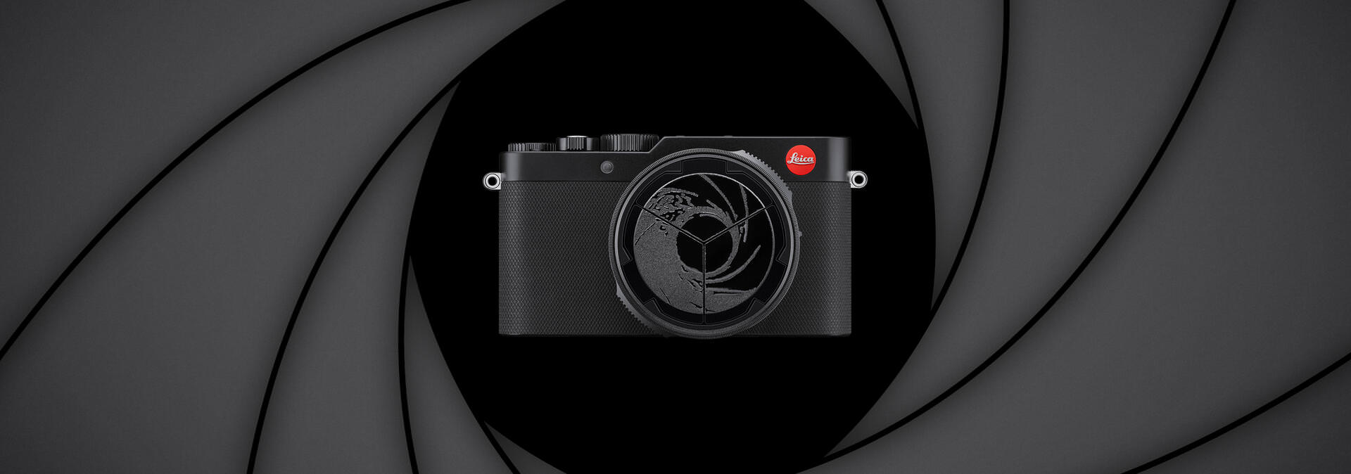 Leica D-lux 7 Accessories 
