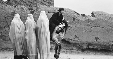 Three Burqas and Horse