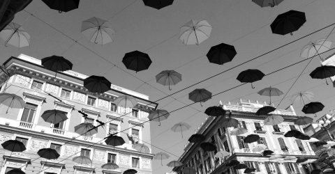 Umbrellas