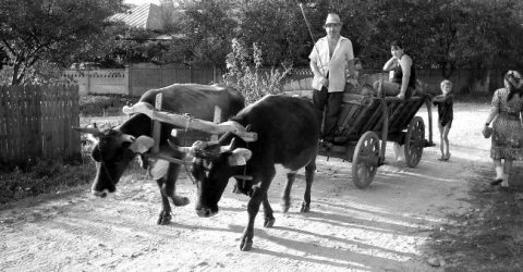 village scene