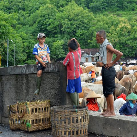 children and trash