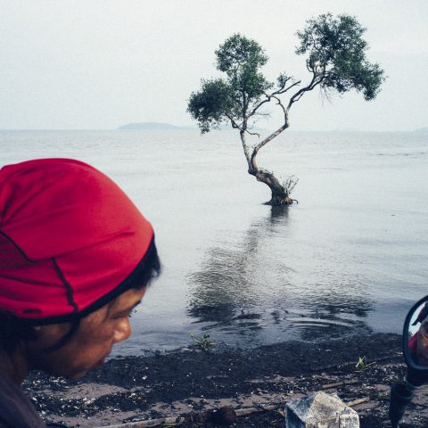 Woman & Tree