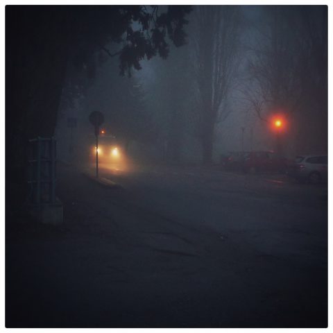 Fog