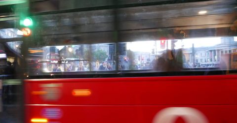 “Happiness is a window seat on a bus”