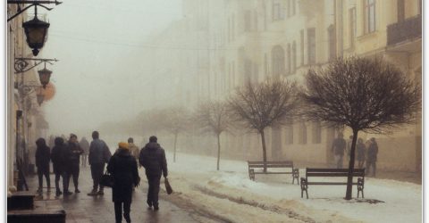 Fog on Herrengasse