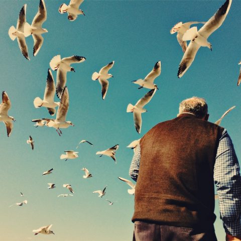 Old man and the sea