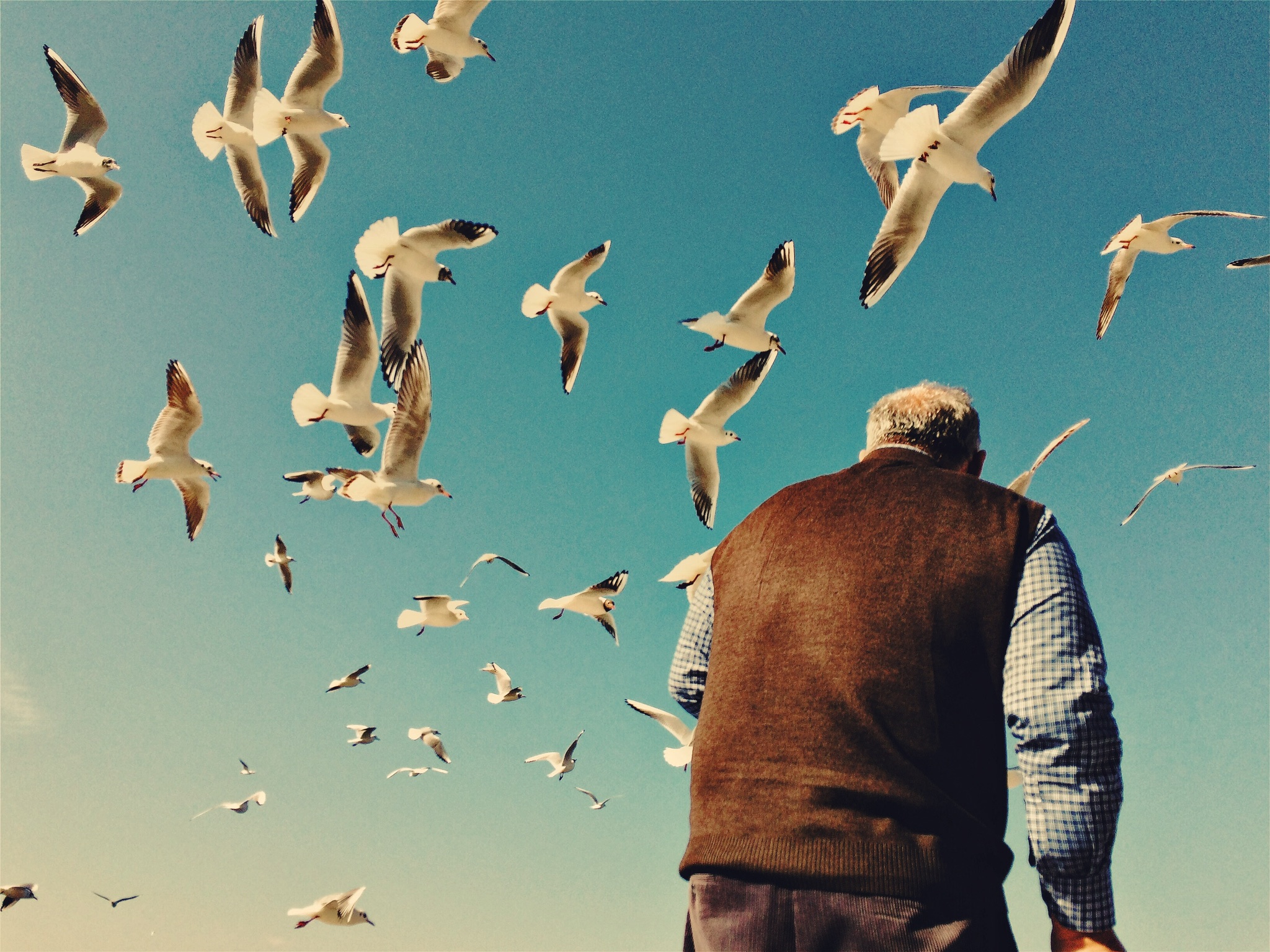 Old man and the sea - Exibart Street