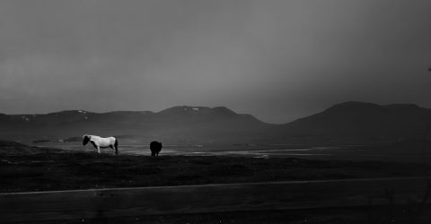 Iceland Landscape