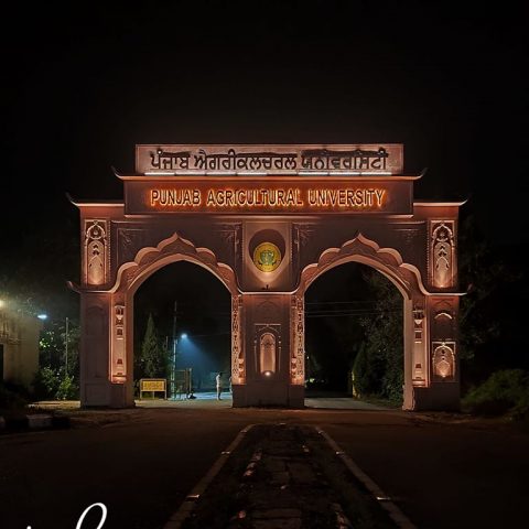 PAU Gate Ludhiana