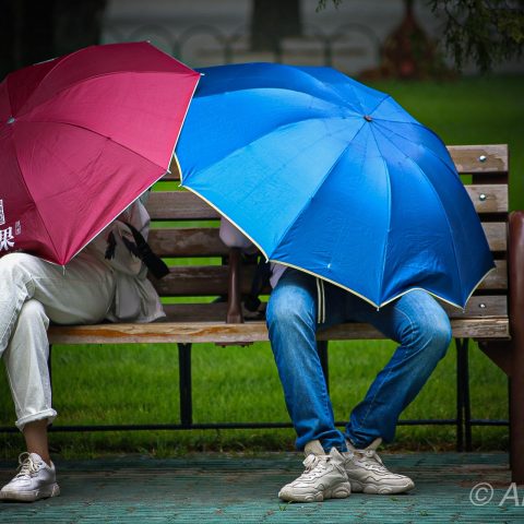 Under our umbrellas