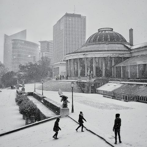 Snow and Botanique.