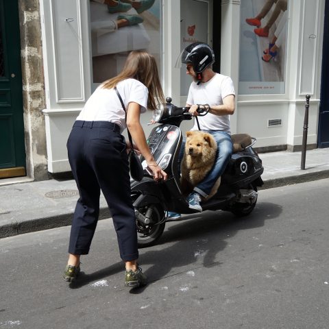 A special riding pillion