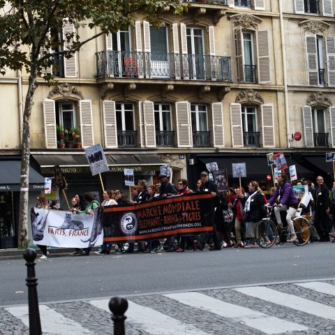 Animalist march in Paris