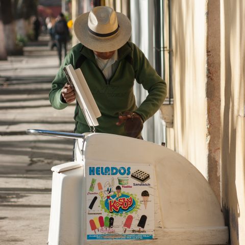 The ice cream seller