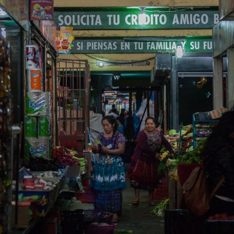 In the streets of the market