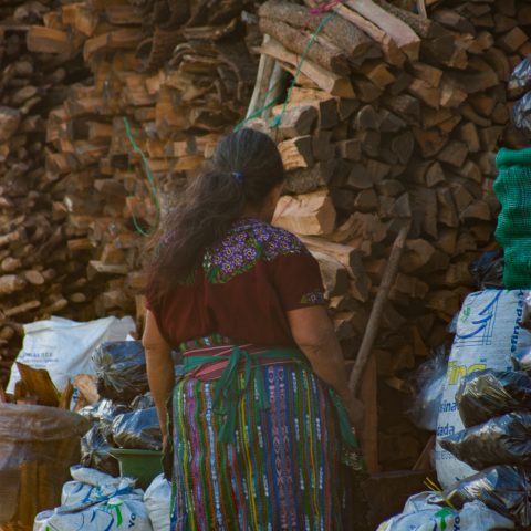 The wood seller