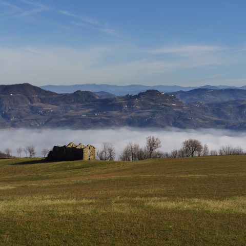 House over the cloud