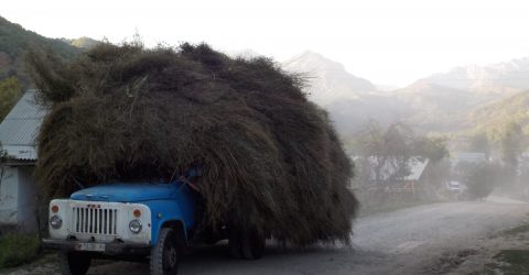 Haymaking