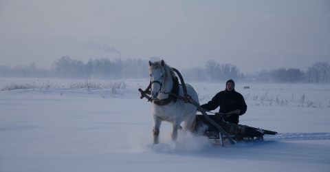 Морозное утро