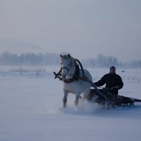 Морозное утро