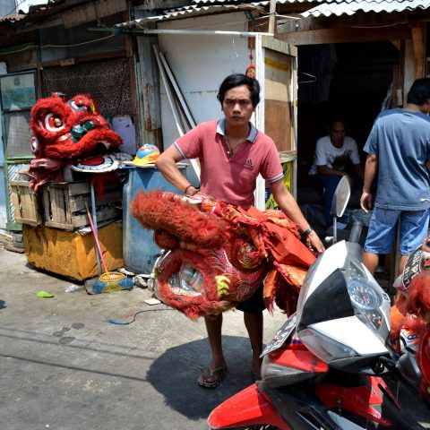 Drying the Lion