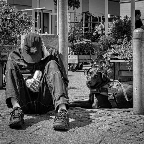 One beer and a dog