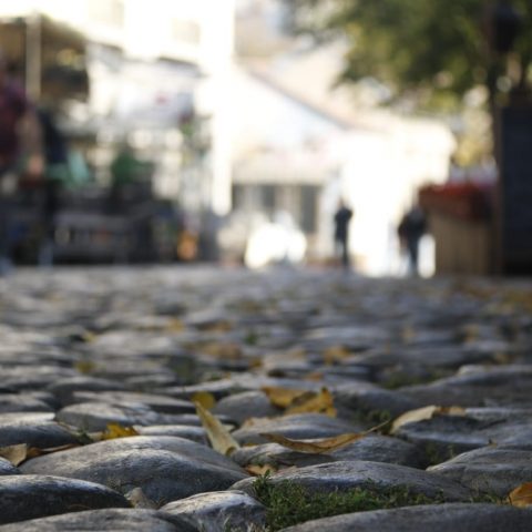 Leafs on the sidewalk