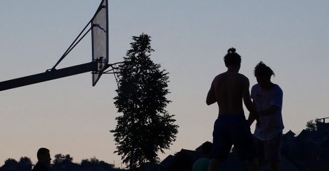 Basketball and judo