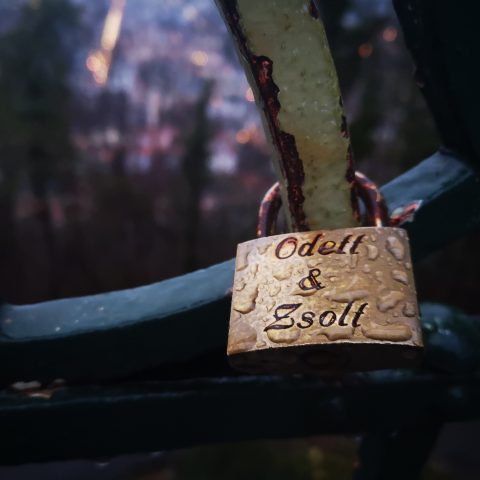 Lock love on the fence