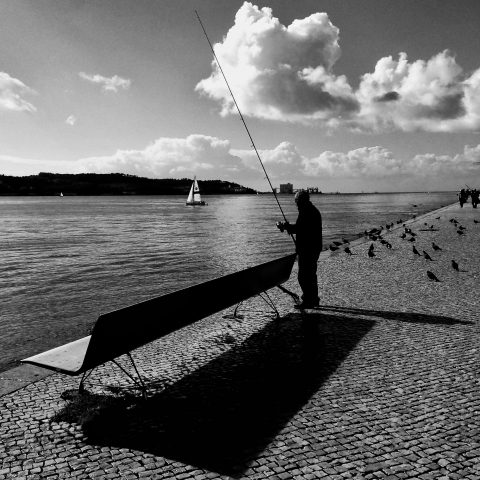 fishing in the city