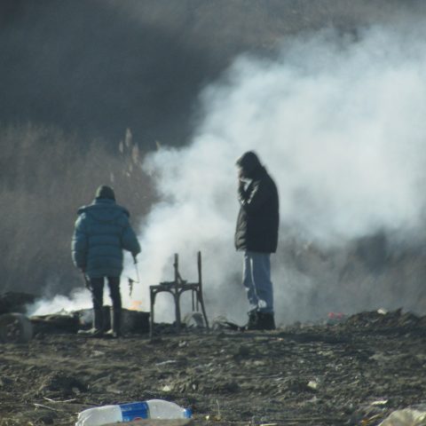 preparing meal