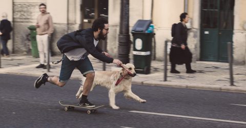 The Dog and the Skater