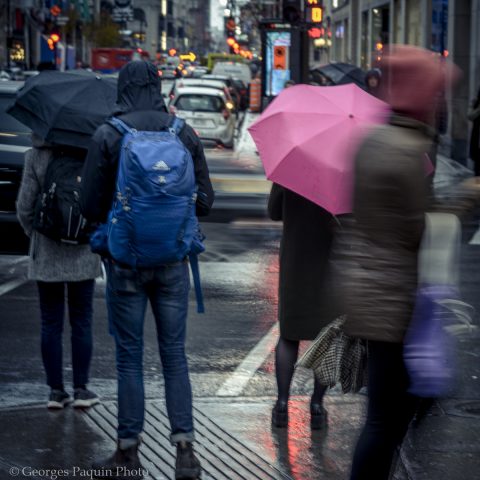 The pink umbrella