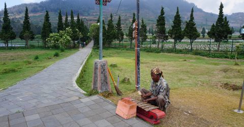 Street Musician