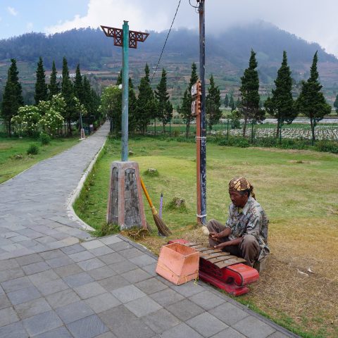 Street Musician