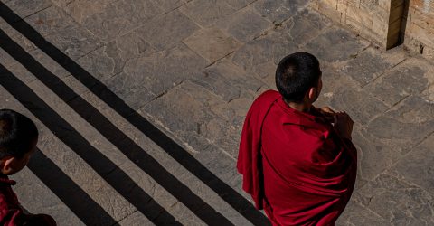 Young monks