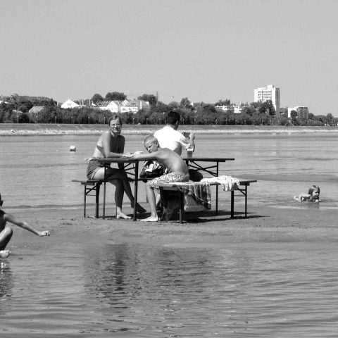 Summer on the Danube Beach