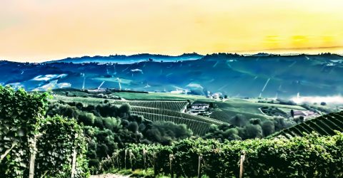 Langhe valley