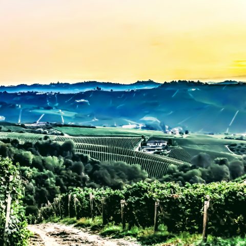 Langhe valley