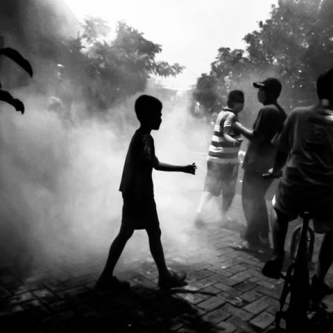 Dengue fogging