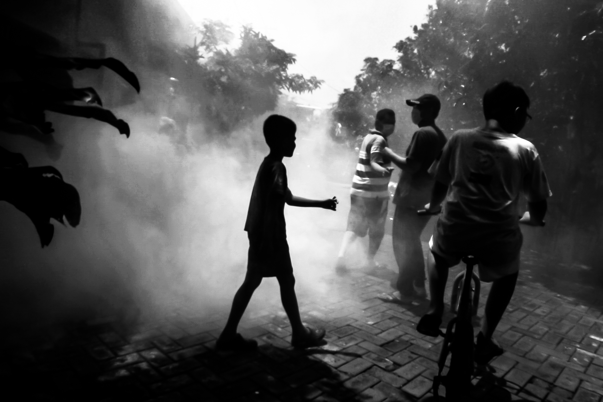 Dengue fogging - Exibart Street