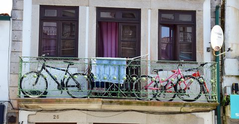 Bikes and windows