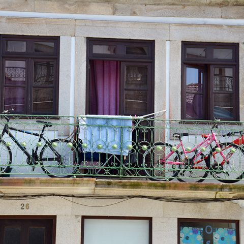 Bikes and windows