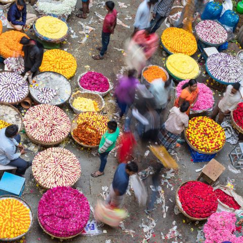 Colourful India