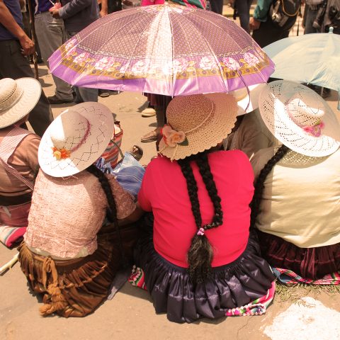 Cholas of cochabamba