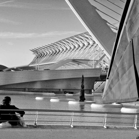 At the City of Arts and Sciences