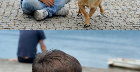 Hugo playing with the dog