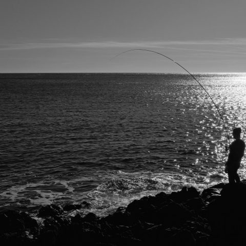 Fisherman’s decisive moment