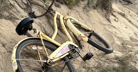 Beached Bike