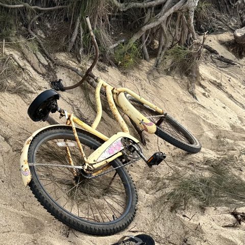 Beached Bike